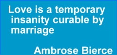 love-is-a-temporary-insanity-curable-by-marriage